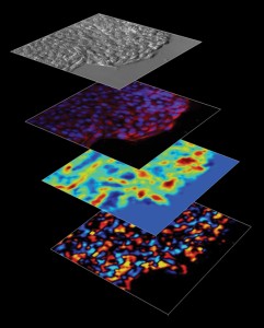 ImageJ=1.45b