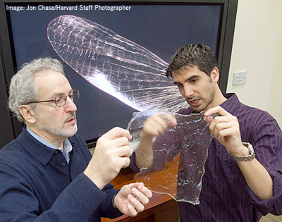 some pioneering work by an ibec alumnus was featured in the